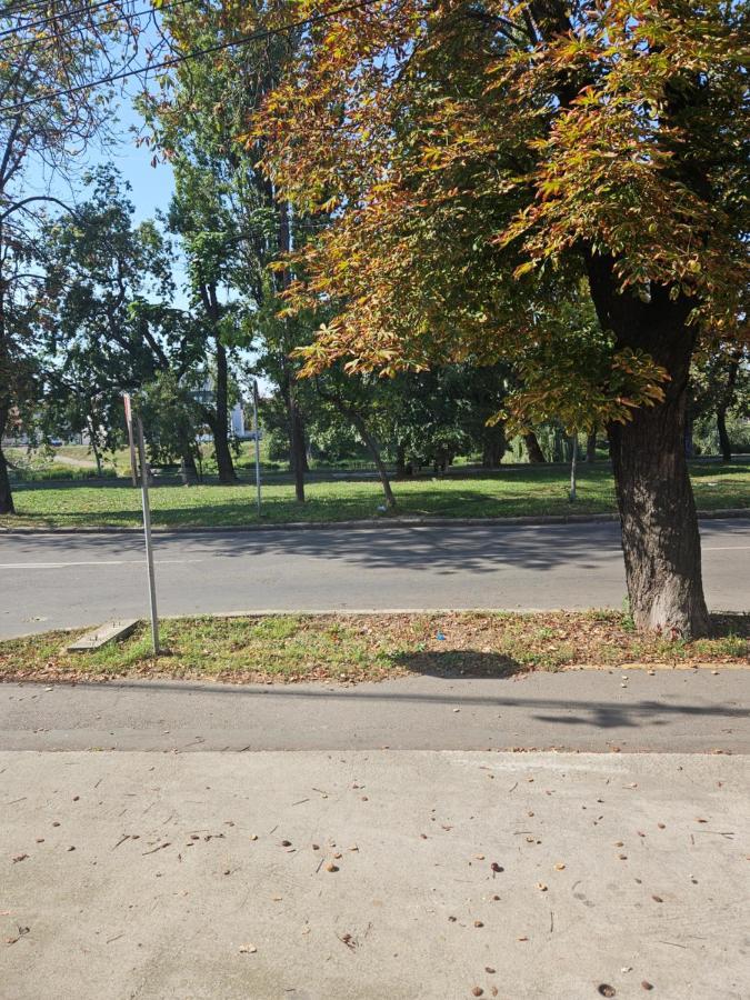 Laci Lak Premium Apartment Oradea Εξωτερικό φωτογραφία